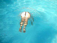Softcore_Gallery_271