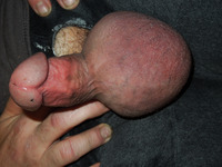 ANAL COCK WHORE A TRUE FUCK SLUT