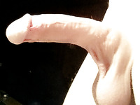 My horny Cock