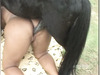 Henrtt