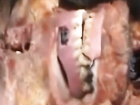 Hajsh