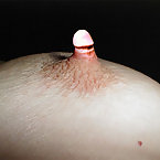 Softcore_Gallery_318