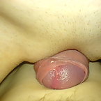 Hardcore_Gallery_78