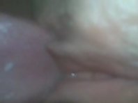 wet pussy